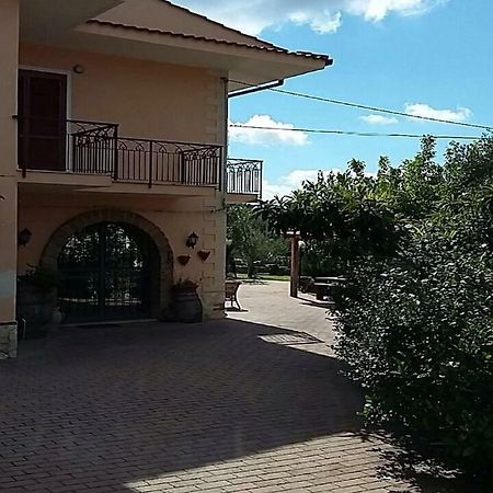 נוצ'רה טרינזה B&B Grandinetti מראה חיצוני תמונה