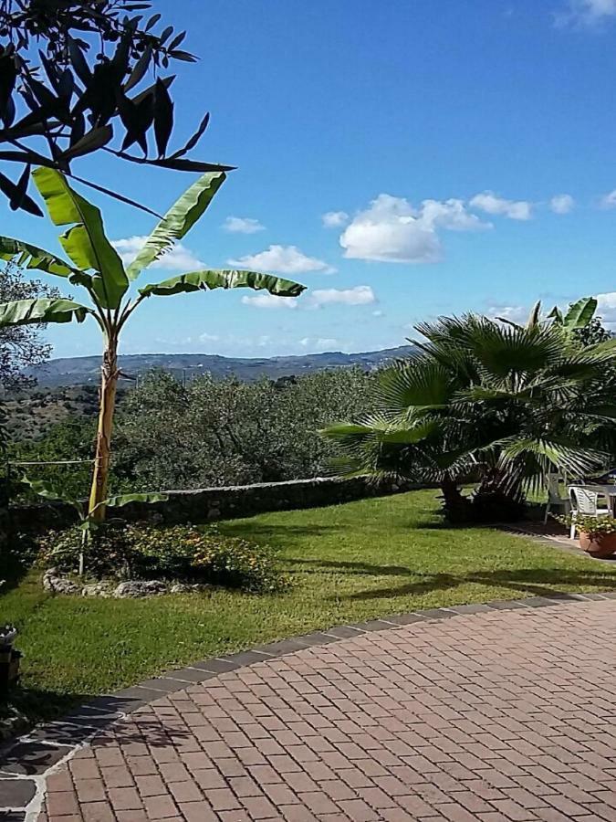 נוצ'רה טרינזה B&B Grandinetti מראה חיצוני תמונה